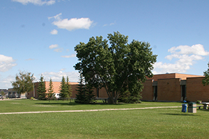 Niverville Middle School - Grades 5-8 Middle School in Niverville, MB.